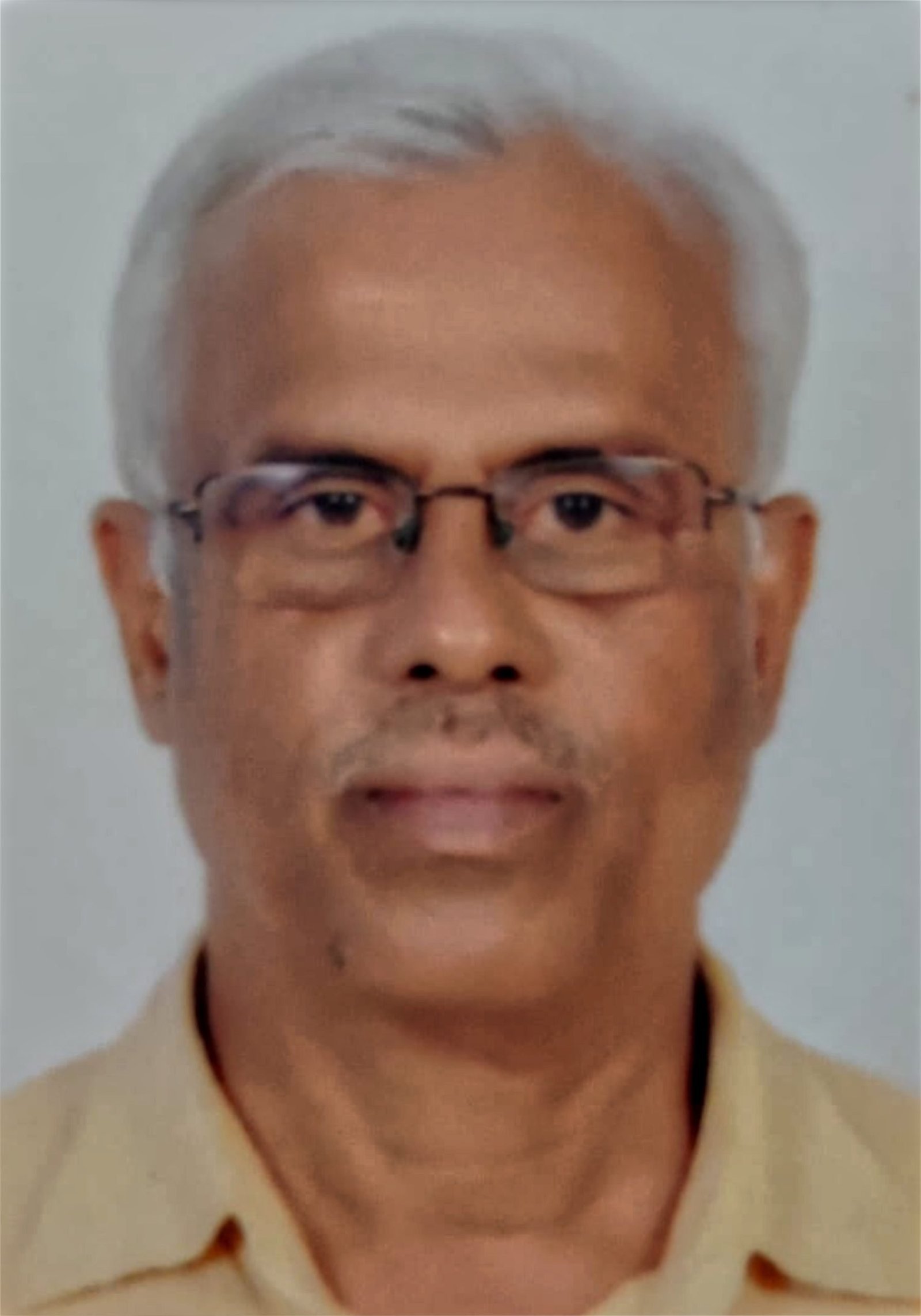 Dr. V V Raji